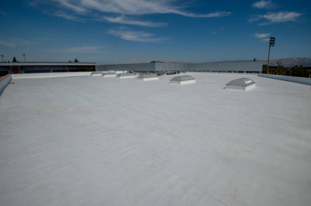 Best Roof Insulation Installation  in Kirkwood, MO