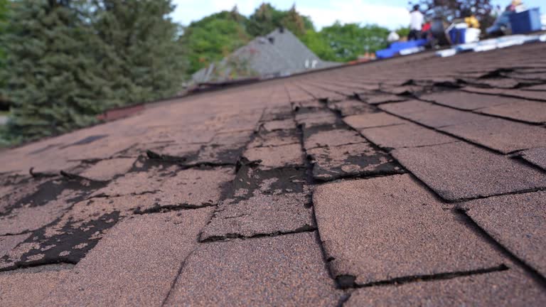 Best Gutter Installation and Repair  in Kirkwood, MO